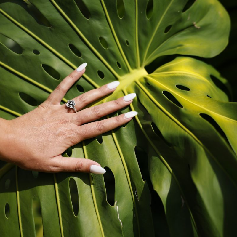 a woman's hand on a large green leaf